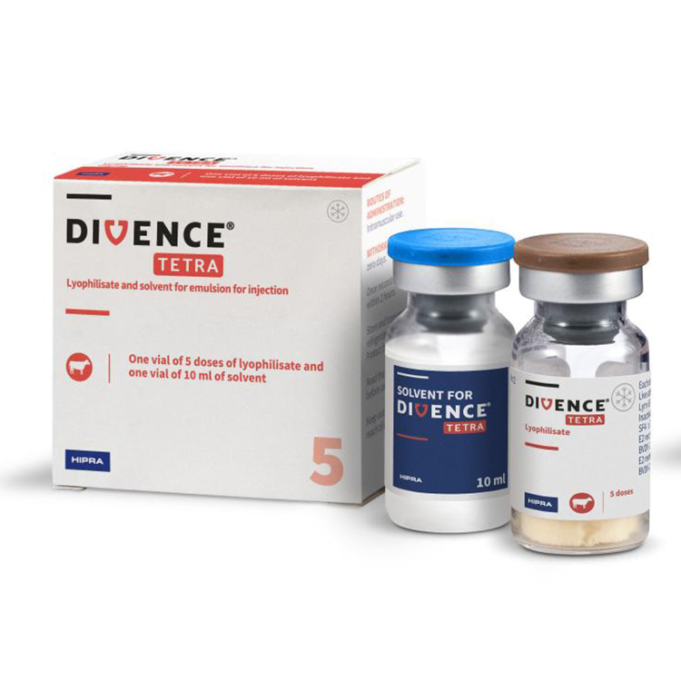 DIVENCE® TETRA